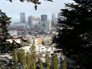 From the Coit Tower viewing area