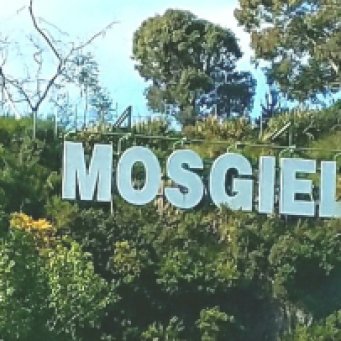 "Mollywood "Sign