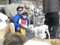 This kid had a chance to feed a lamb
