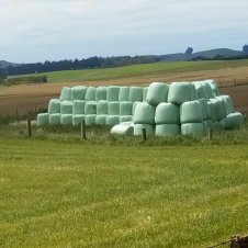 This is how the cut hay is stored.