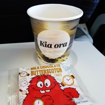Air New Zealand flight..even when a flight was 50 minutes, everywhere we flew, they served us SOMETHING!