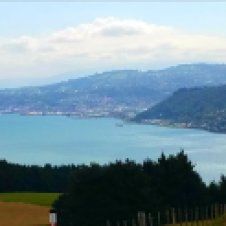 Looking down at Dunedin Harbour